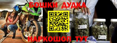 СК Дубна