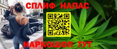 СК Дубна