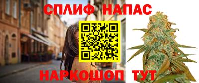 эйфоретик Донской