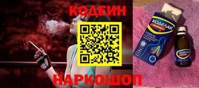 СК Дубна