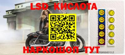эйфоретик Донской
