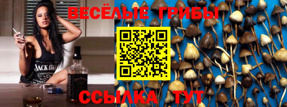 Псилоцибиновые грибы мухоморы Минеральные Воды