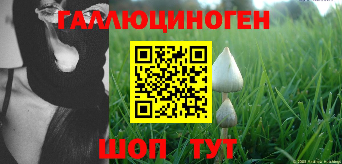 Псилоцибиновые грибы Magic Shrooms  Вход с VPN  даркнет сайт  Минеральные Воды 